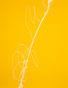 Wild Vines, Kelly Reilly, Contemporary Photography