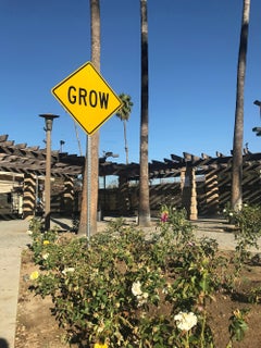 "Grow" - Contemporary Street Sign Sculpture