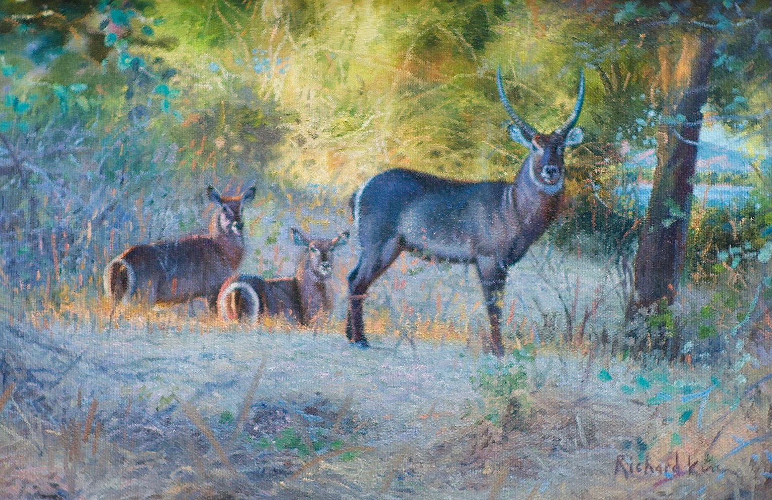 Richard King  Animal Painting - Morning Chores - Wildlife, Realist, Contemporary, 21st Century
