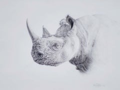 Rhino