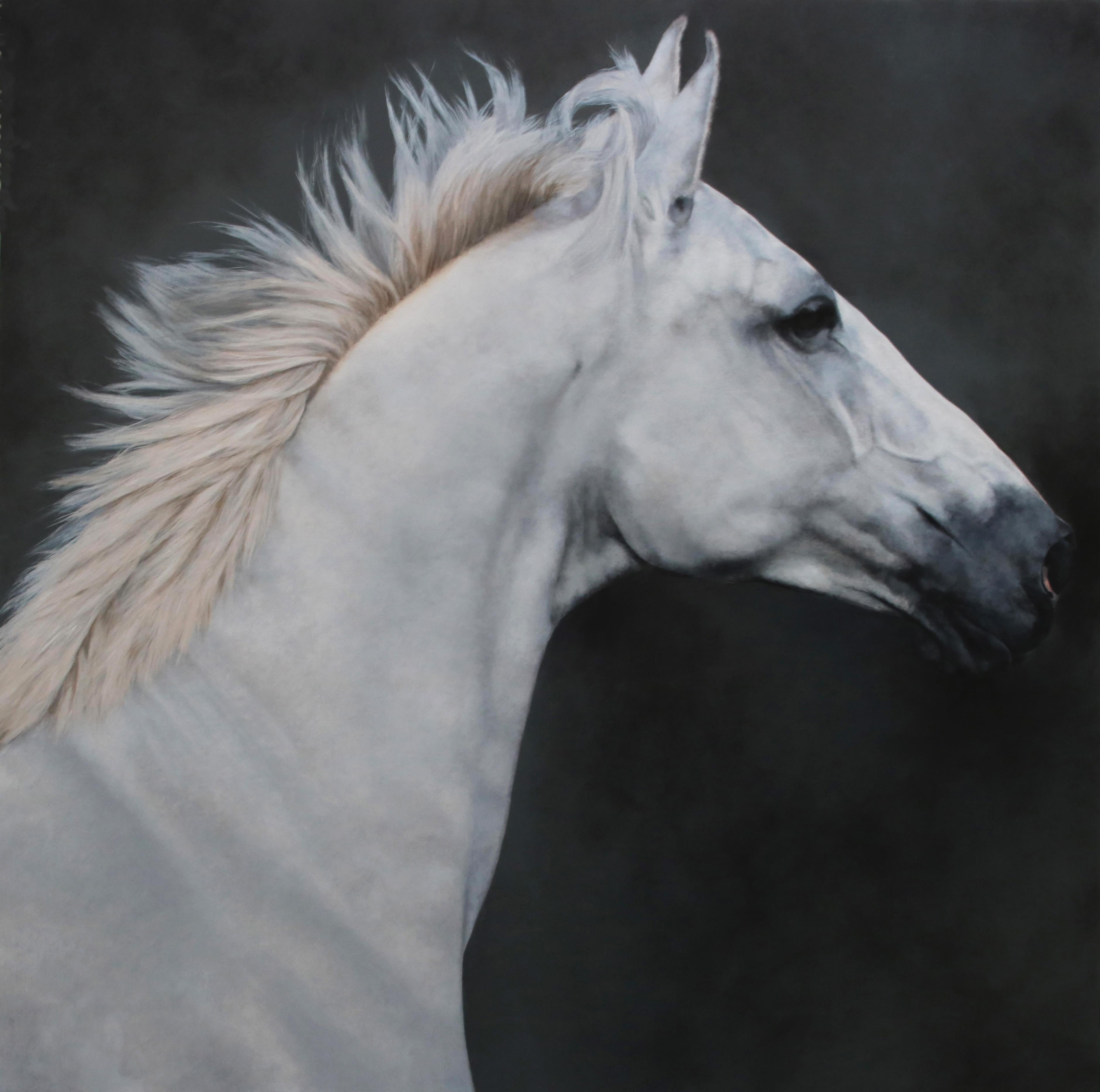 Anne-Marie Kornachuk Animal Painting - Equus 2, Equestrian, Contemporary, Realist