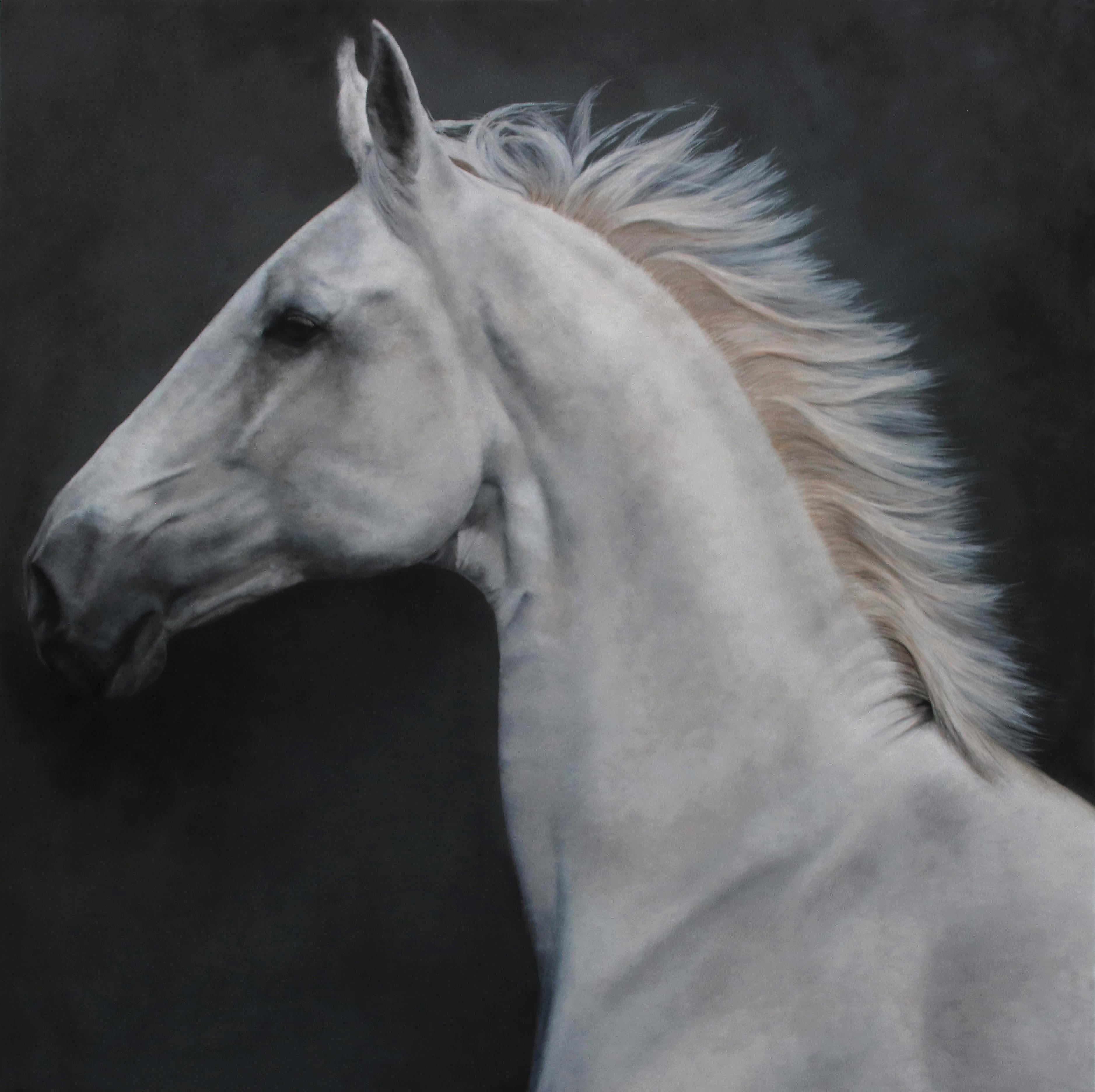 Equus 3, Equestrian, Contemporary, Realist - Painting by Anne-Marie Kornachuk