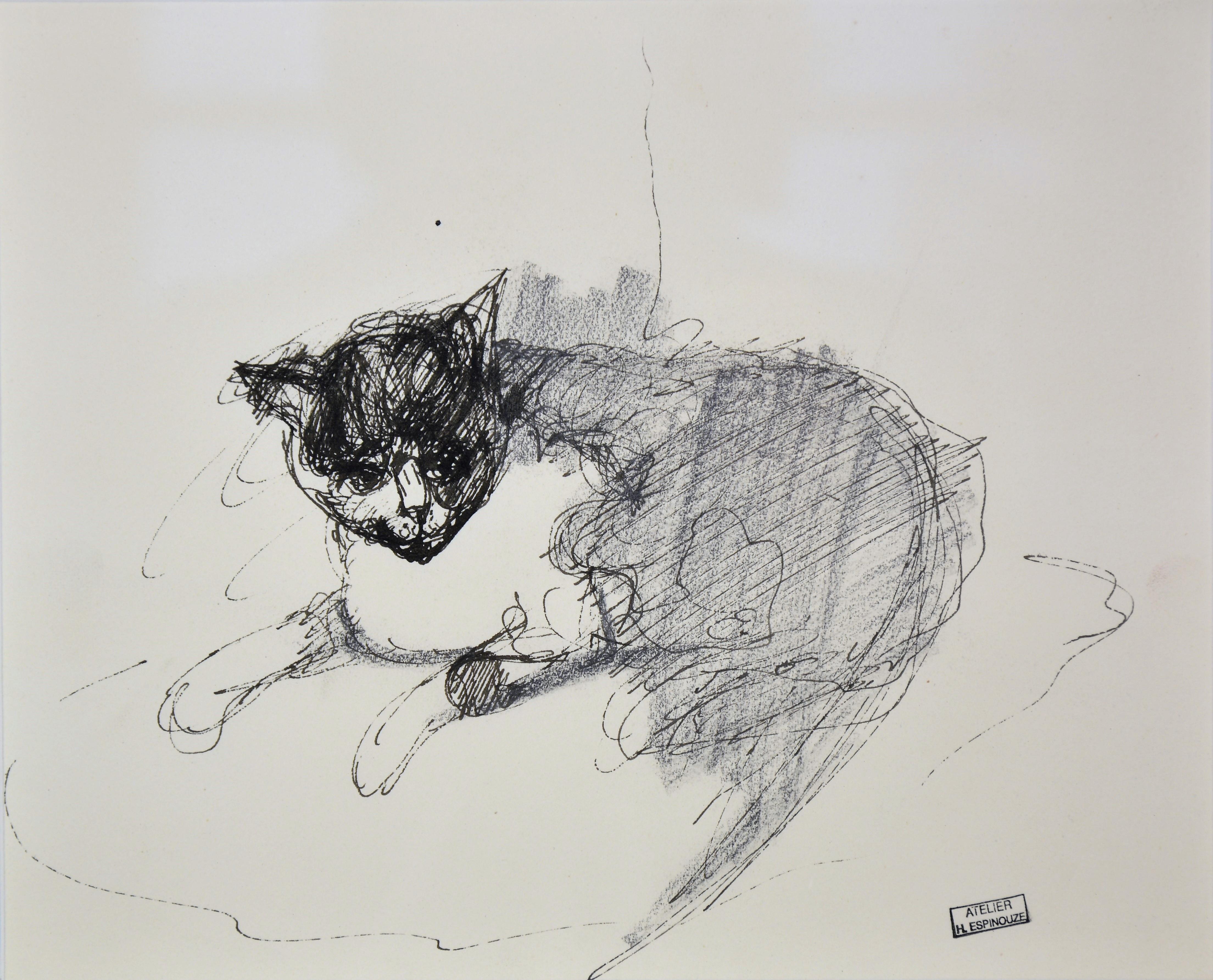 The Black Cat - Art by Henri Espinouse