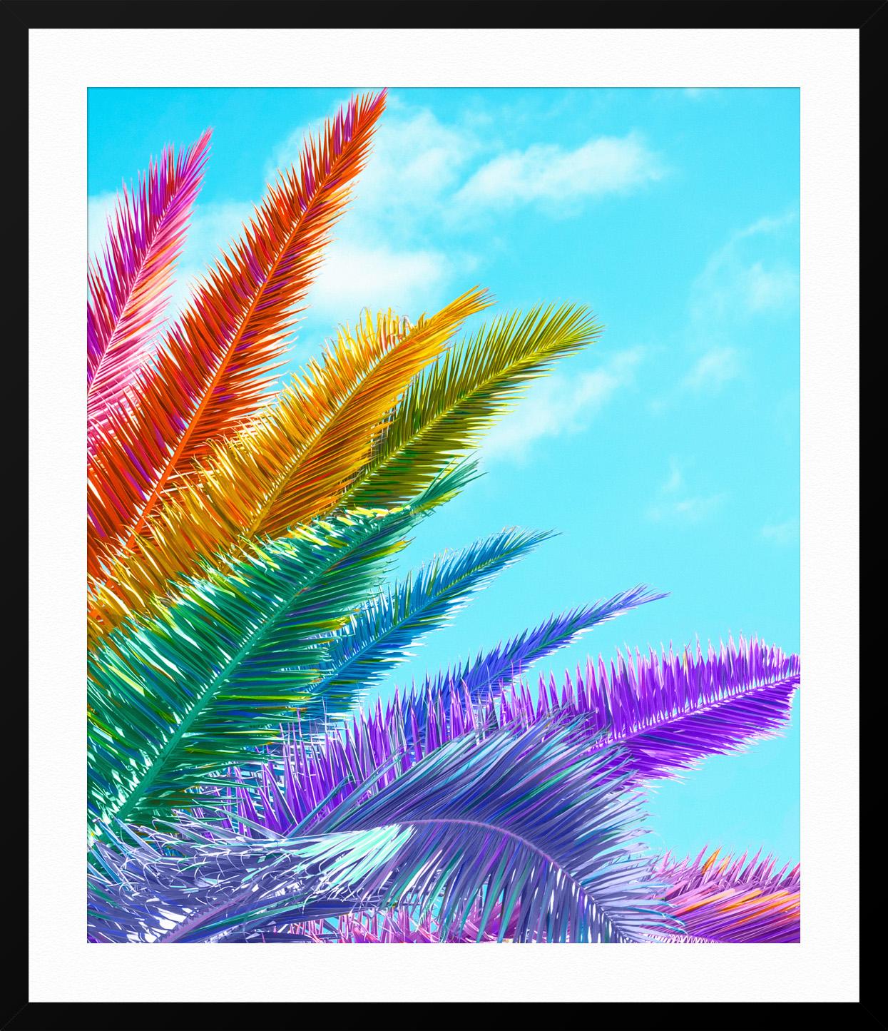 Palm - Blue Landscape Photograph by Ramzy Masri
