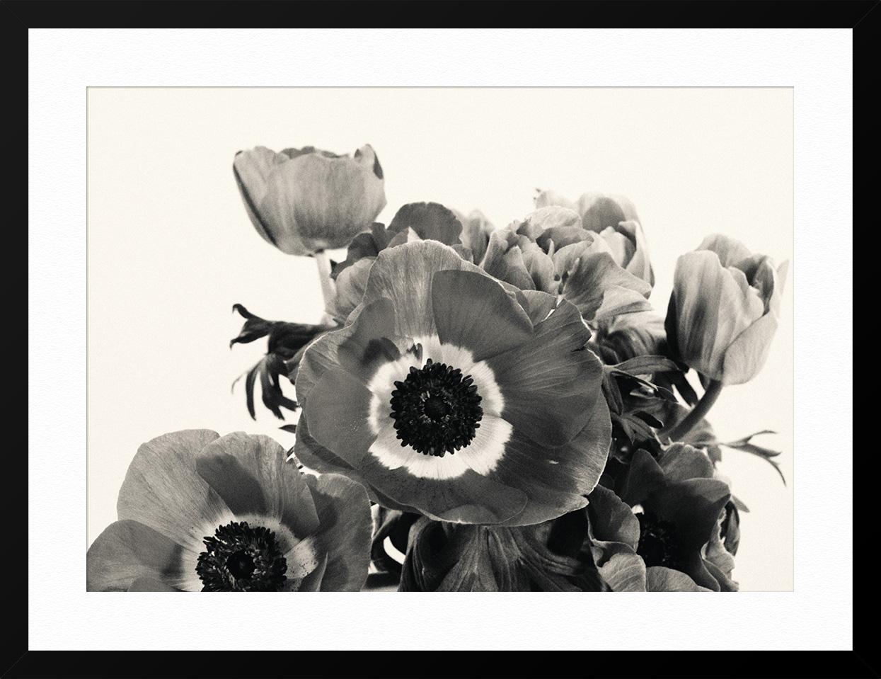 Anemone - Beige Still-Life Print by Adrian Samson