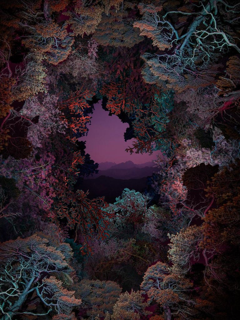 Linda Westin Landscape Print - Illuminated Dendrology - Dimensional Forest
