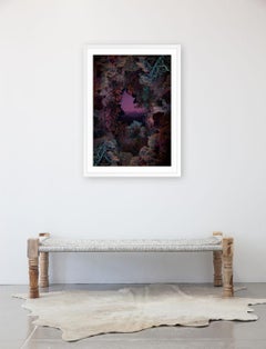 Dendrologie enluminée - Forêt Dimensional Forest