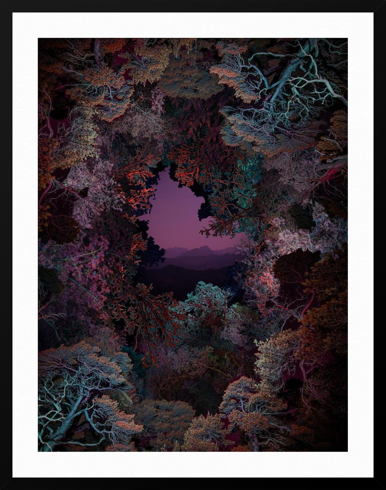 ABOUT THIS ARTIST: Linda Westin, based in Stockholm, left photography and became a Ph.D. in neuroscience specialized in super-resolution fluorescence microscopy.

Then she turned back to photography. Now she looks at forests, rocks, plants, and