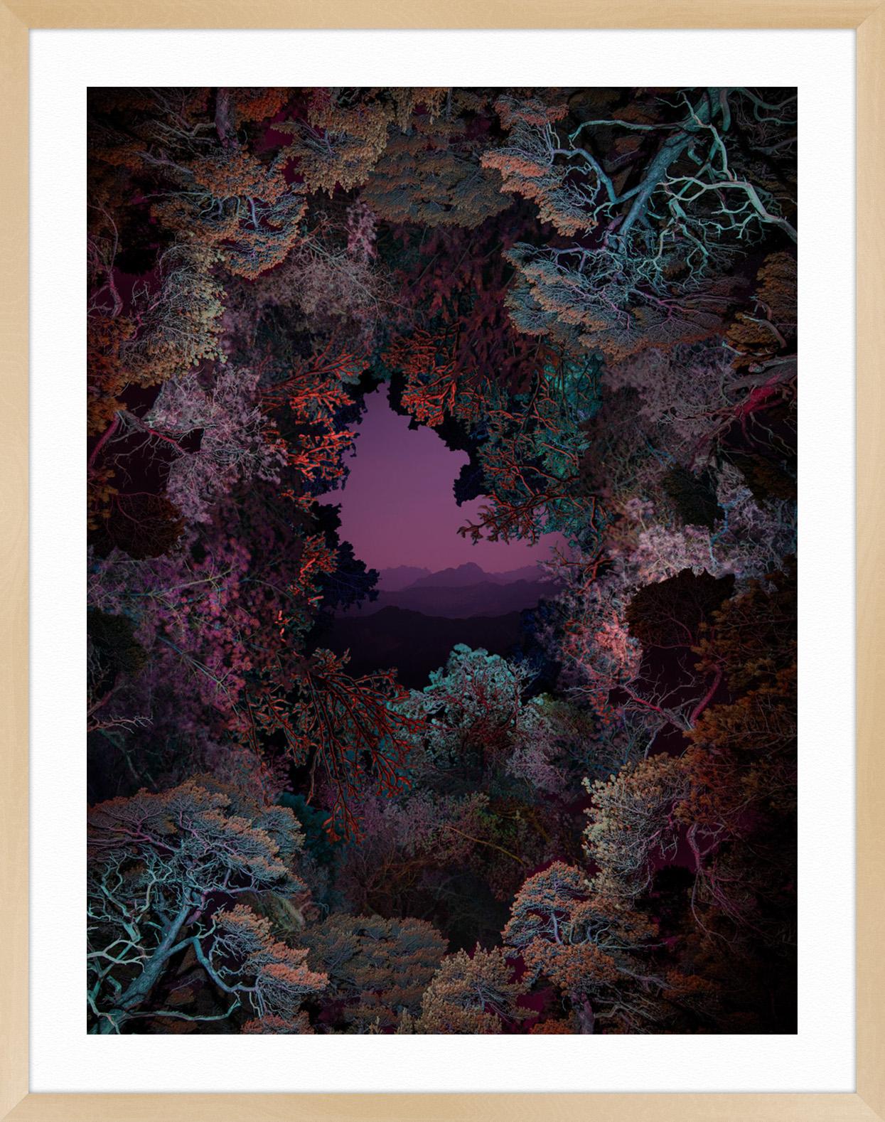 Illuminated Dendrology - Dimensional Forest - Black Landscape Print by Linda Westin