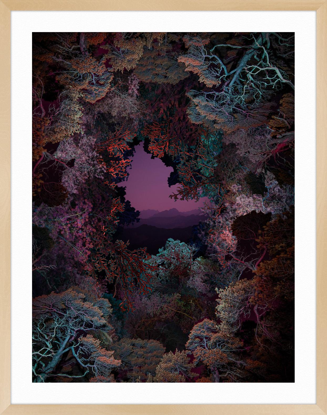 Illuminated Dendrology - Dimensional Forest - Black Landscape Print by Linda Westin