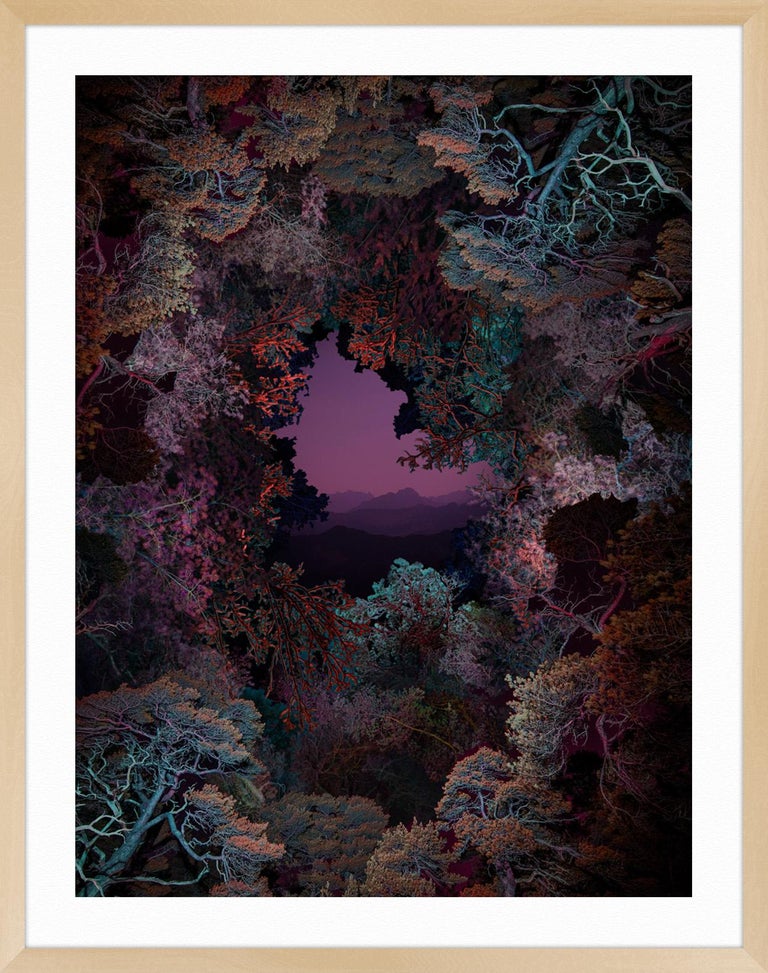 Illuminated Dendrology - Dimensional Forest For Sale 1