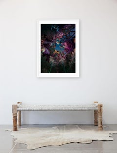 Dendrologie éclairée - Jungle entropique