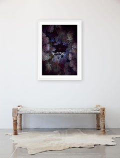 Dendrologie enluminée - Introspection lunaire