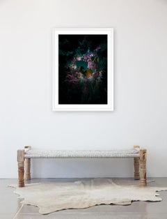 Dendrología Iluminada - Materia Rosa