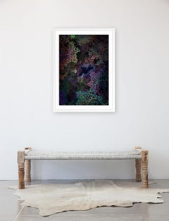 Dendrologie éclairée - Tunneling 1