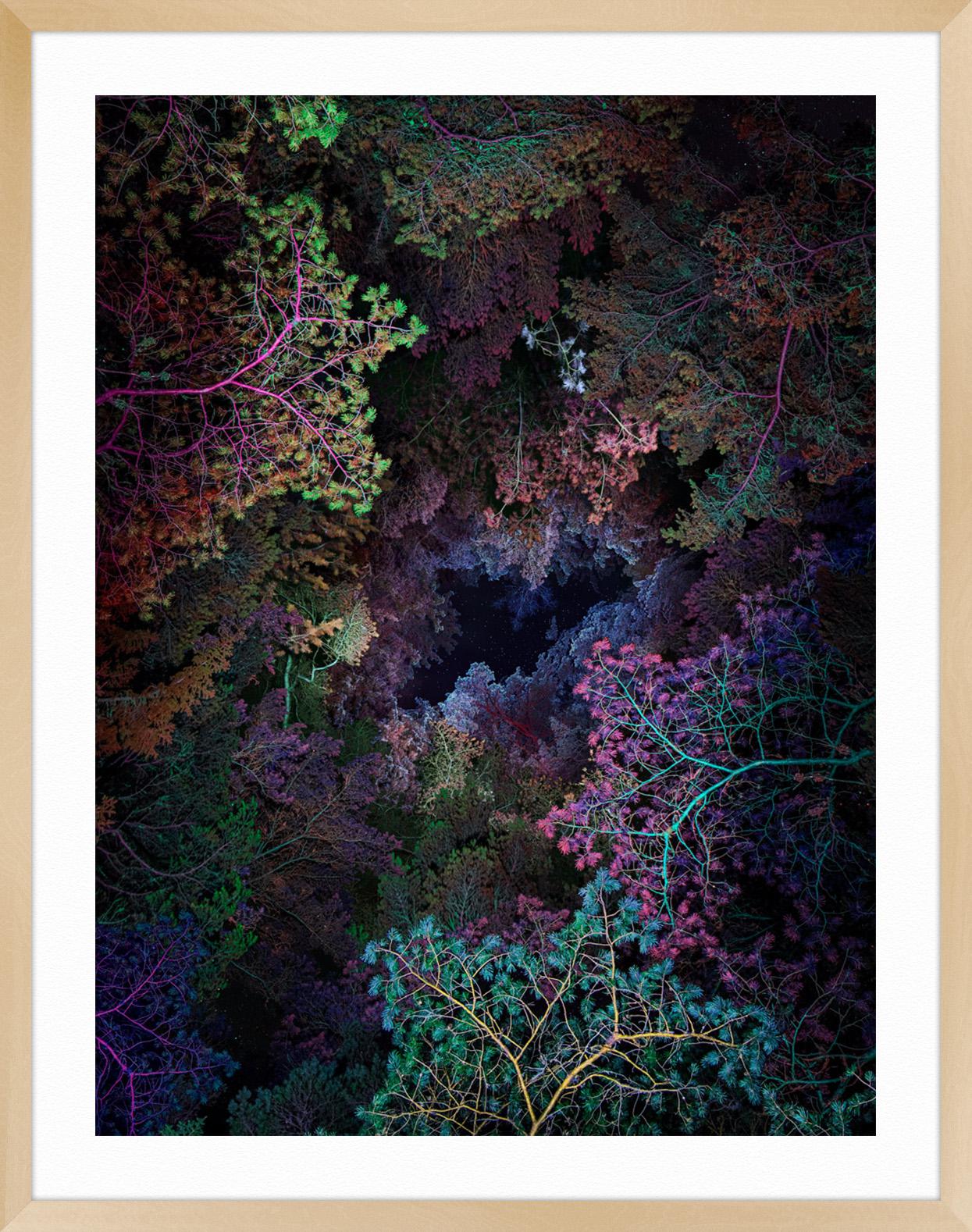 ABOUT THIS ARTIST: Linda Westin, based in Stockholm, left photography and became a Ph.D. in neuroscience specialized in super-resolution fluorescence microscopy.

Then she turned back to photography. Now she looks at forests, rocks, plants, and