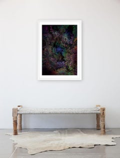 Dendrologie enluminée - Tunneling 3