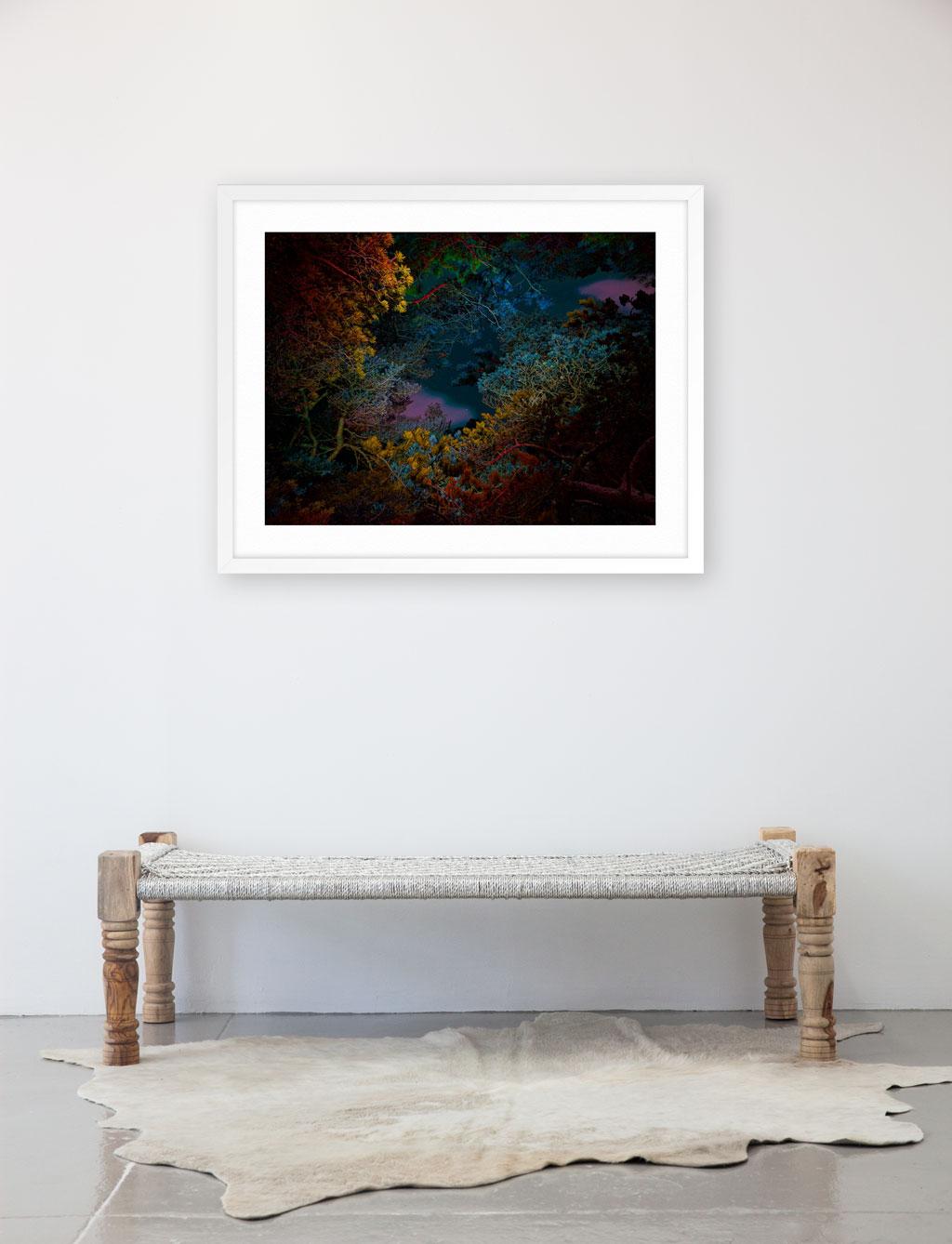 Illuminated Dendrology - Tunneling 2 - Print by Linda Westin