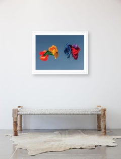 Nube de Color 04