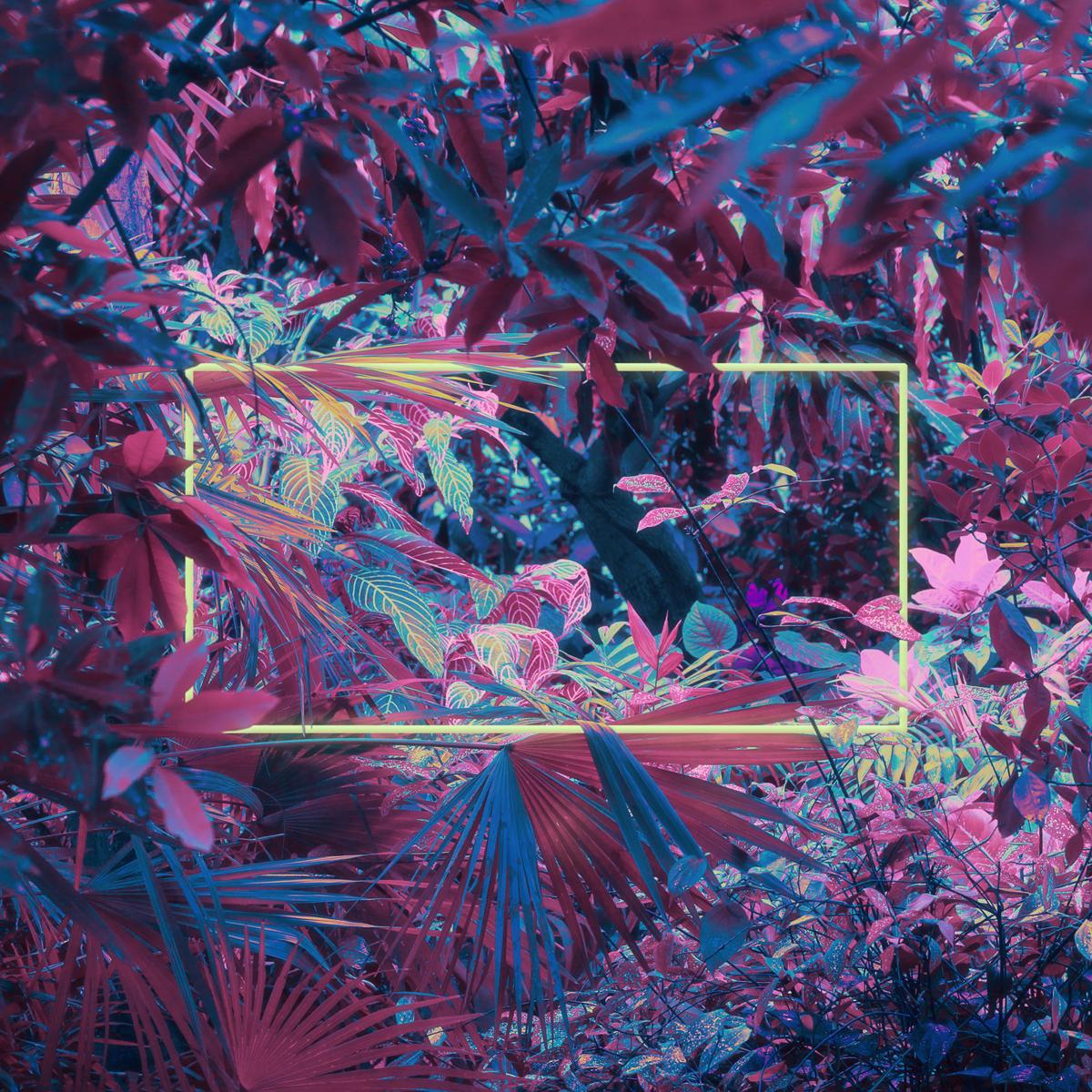 Landscape Photograph Mischelle Moy - Forces invisibles
