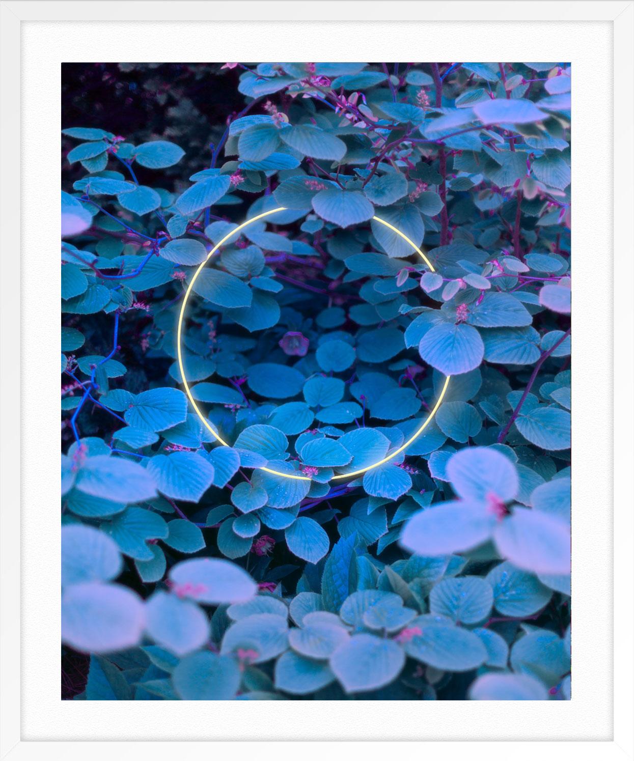 Fehlendes Halo (Blau), Landscape Photograph, von Mischelle Moy
