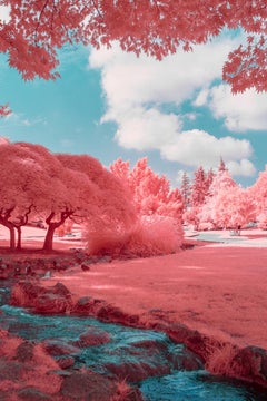 Infrared Garden
