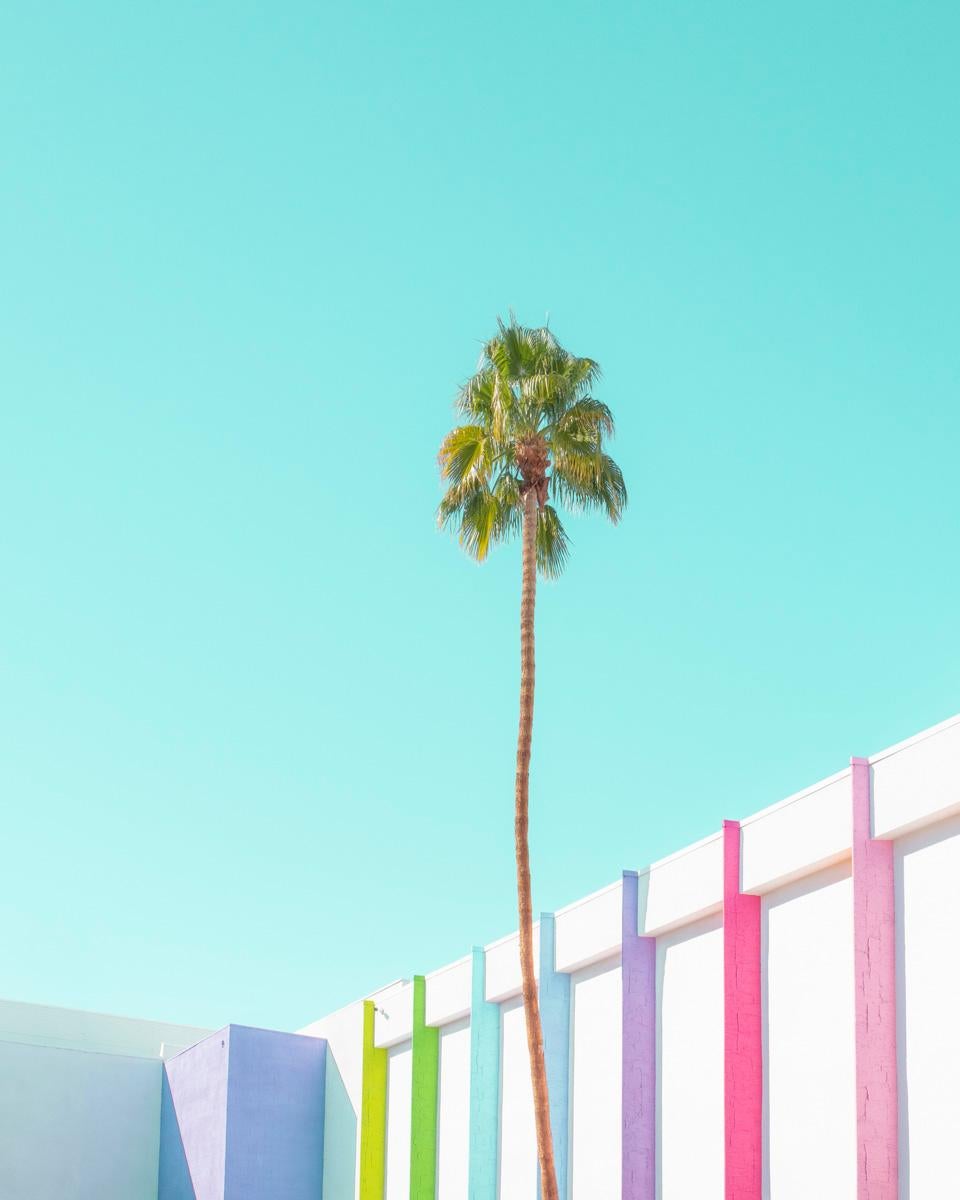 Minjin-Mijoo Color Photograph - The Modern Paradise Palm Spring 02