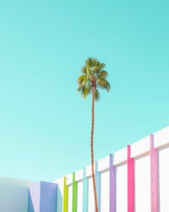 The Modern Paradise Palm Spring 02
