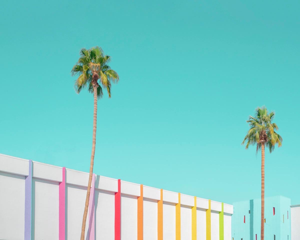 Minjin-Mijoo Landscape Photograph - The Modern Paradise Palm Spring 03