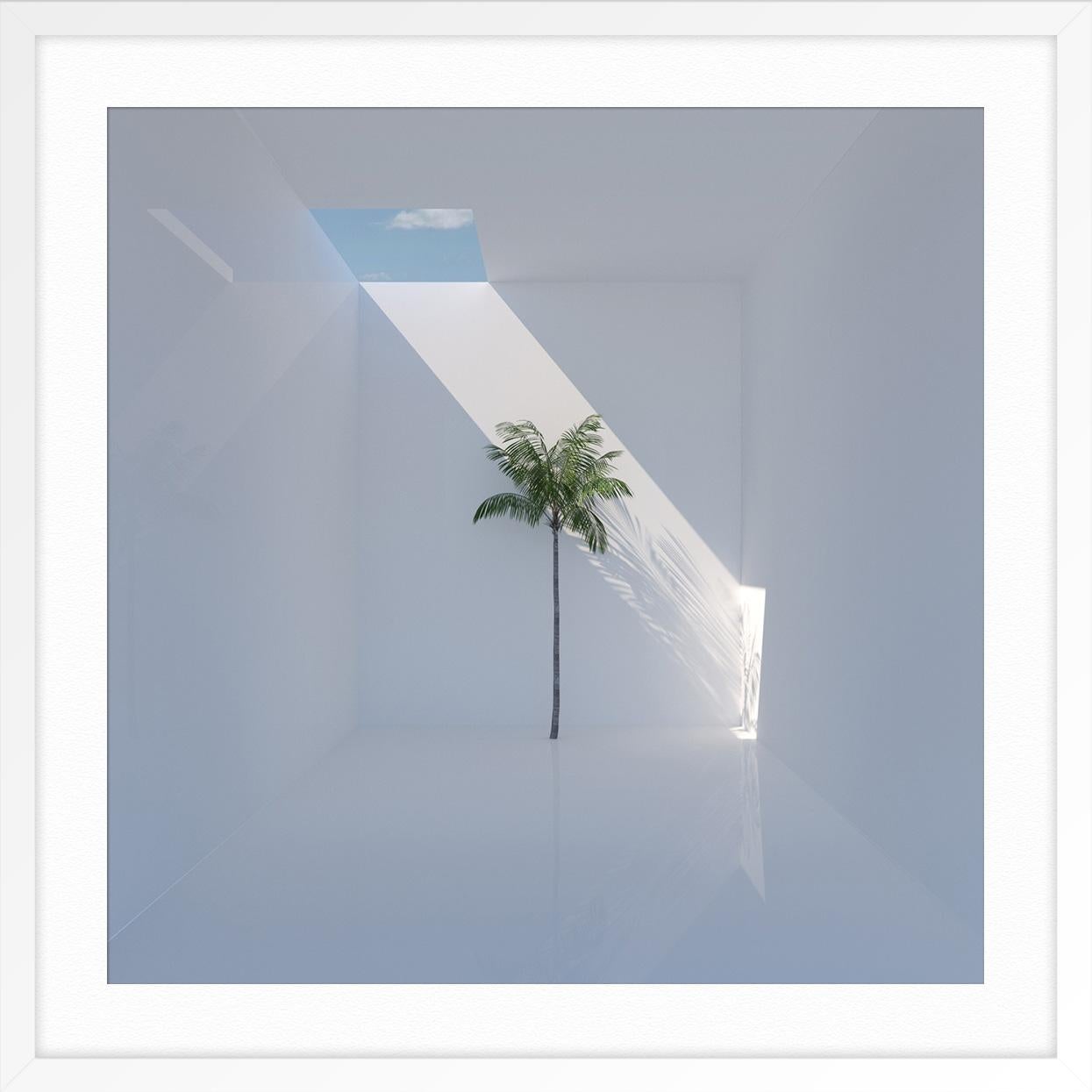 Single Palm 1 - Gray Landscape Photograph by Samuel Escobar