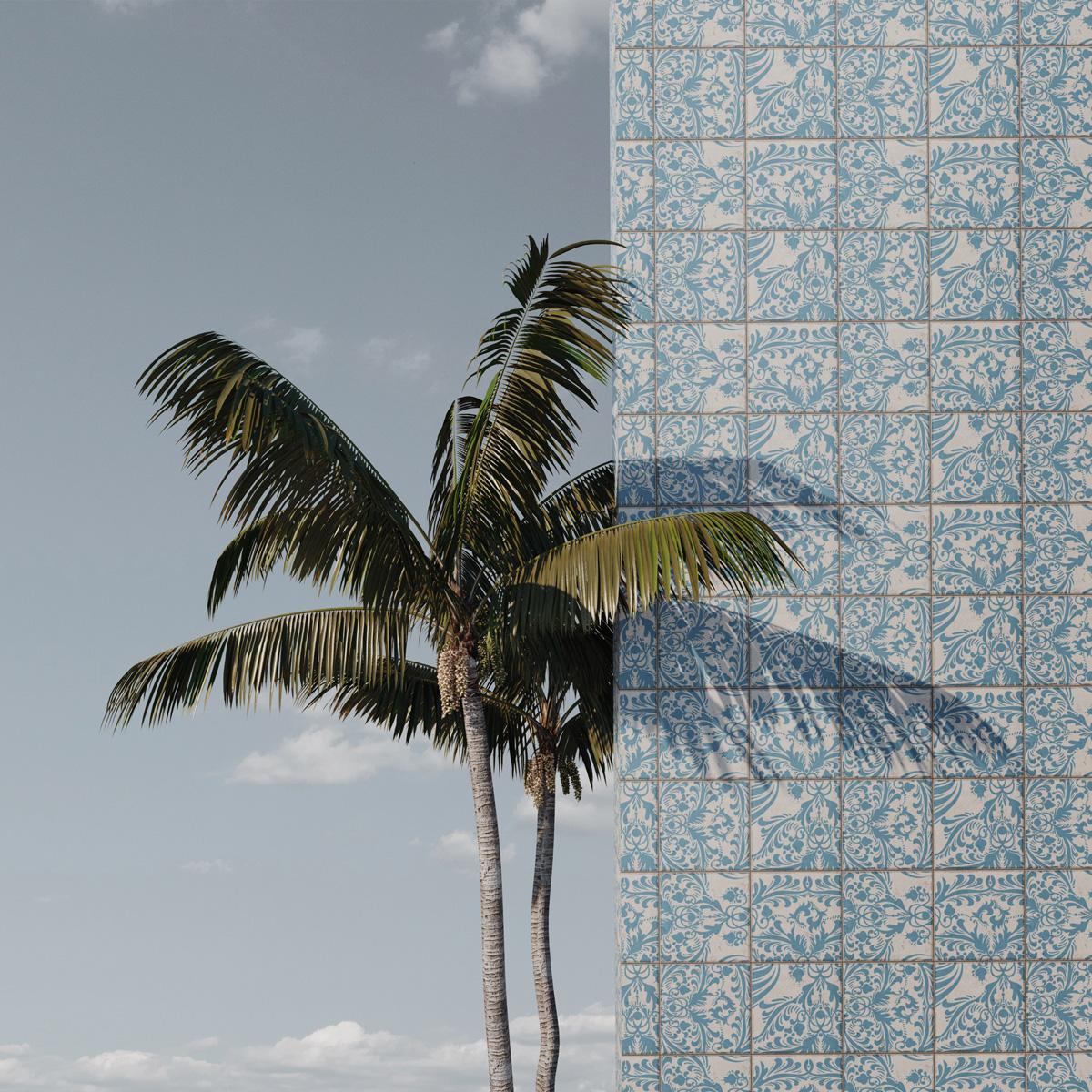 Samuel Escobar Landscape Photograph - Single Palm 2