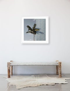 Einzelne Palme 2