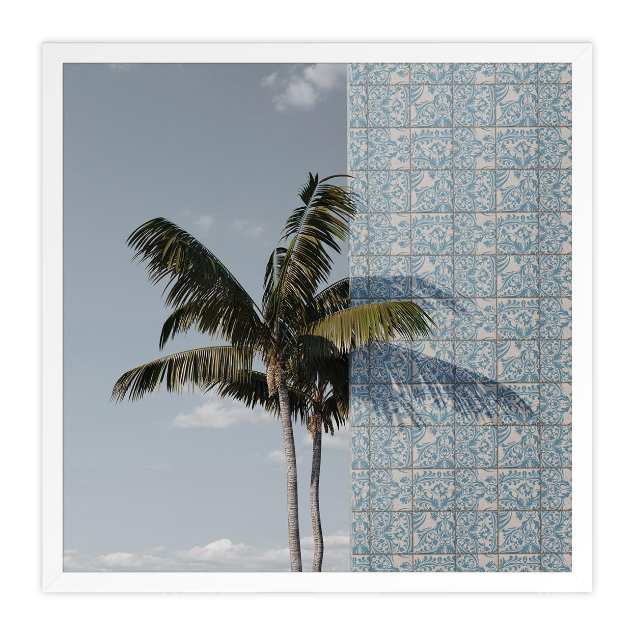 Einzelne Palme 2 (Grau), Landscape Photograph, von Samuel Escobar