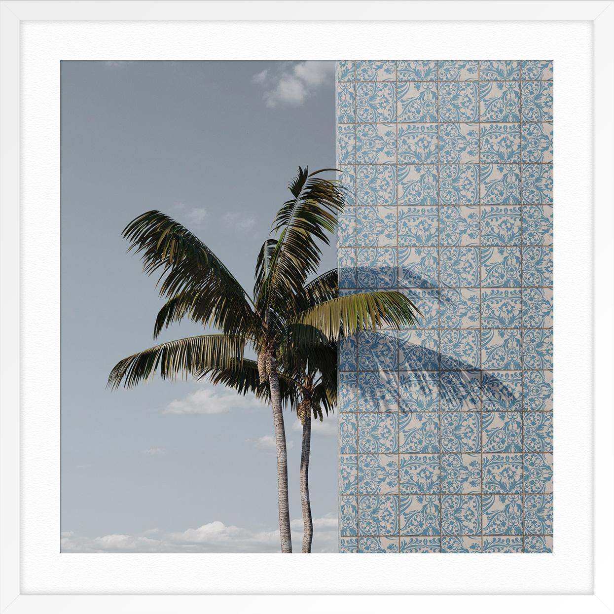Single Palm 2 - Gray Landscape Photograph by Samuel Escobar