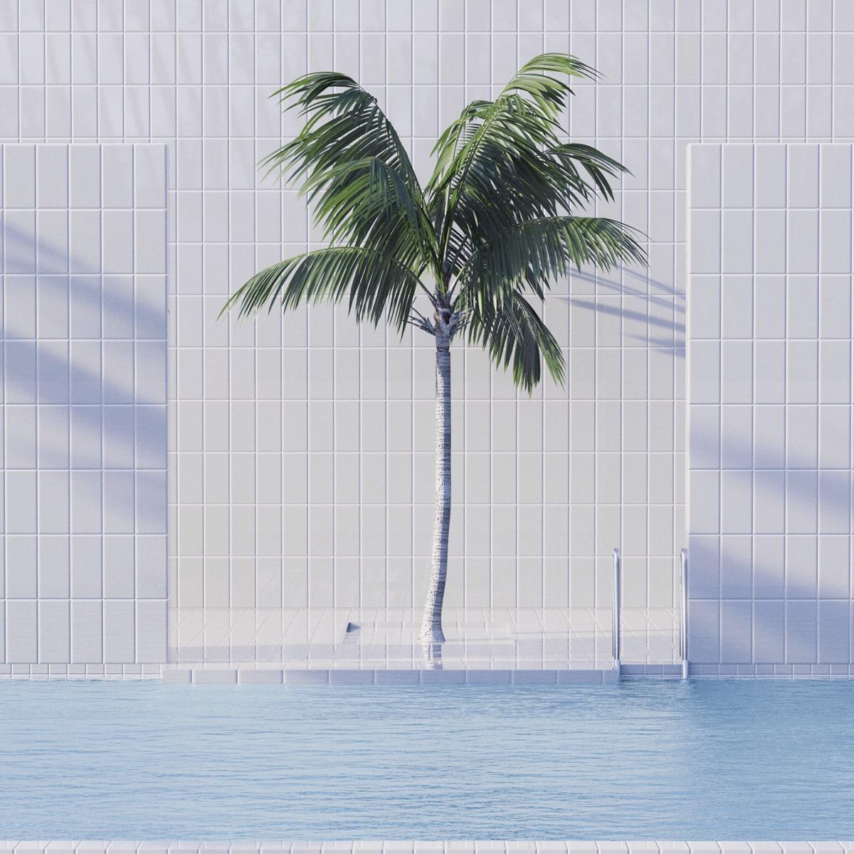 Samuel Escobar Landscape Photograph - Single Palm 3