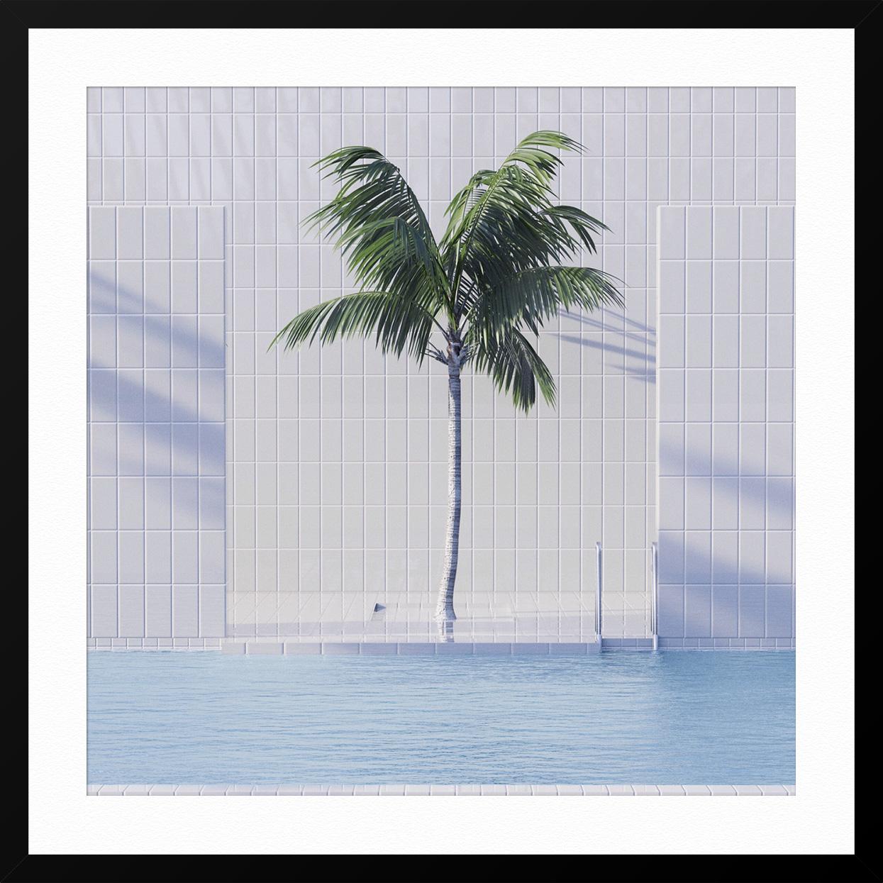 Single Palm 3 - Gray Landscape Photograph by Samuel Escobar