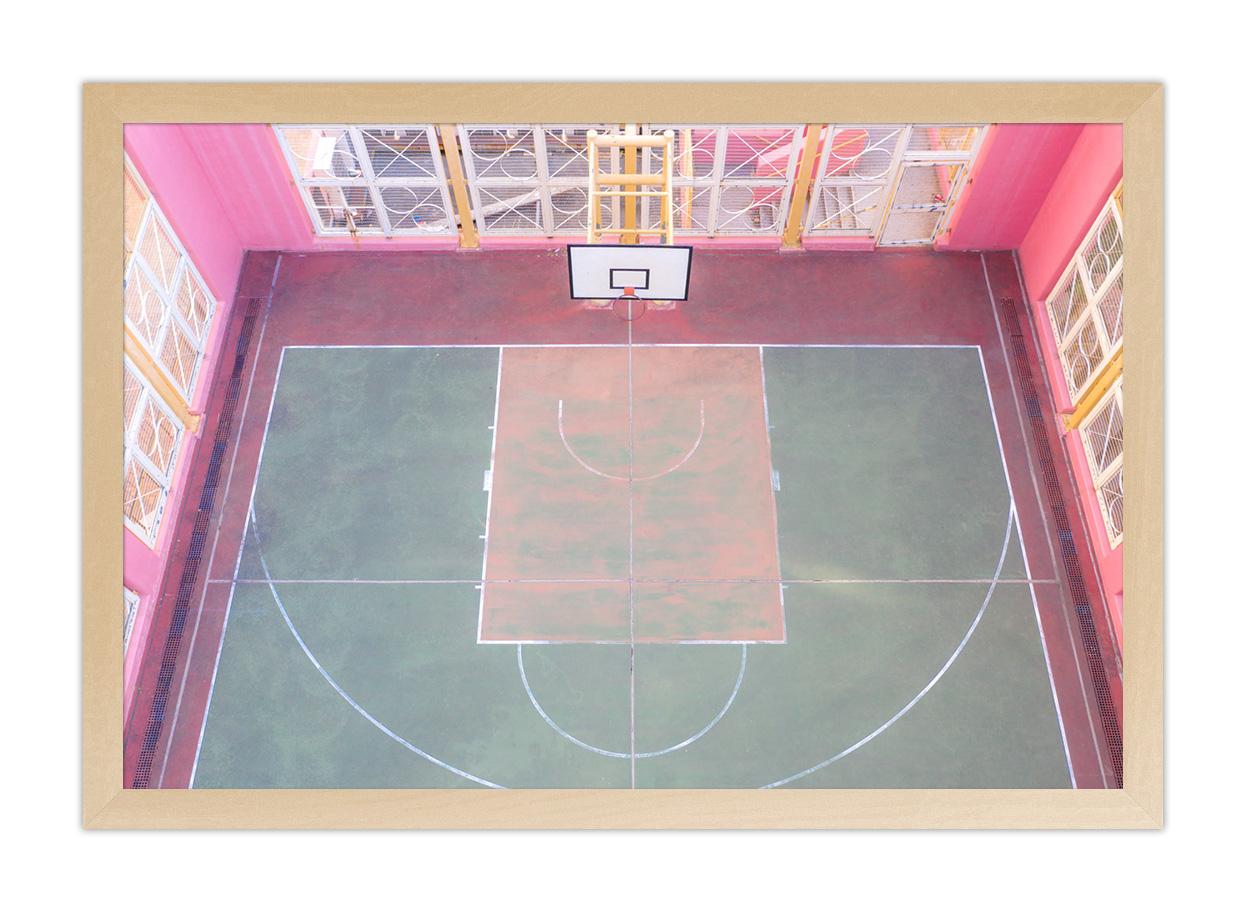 The Pink Court 1
