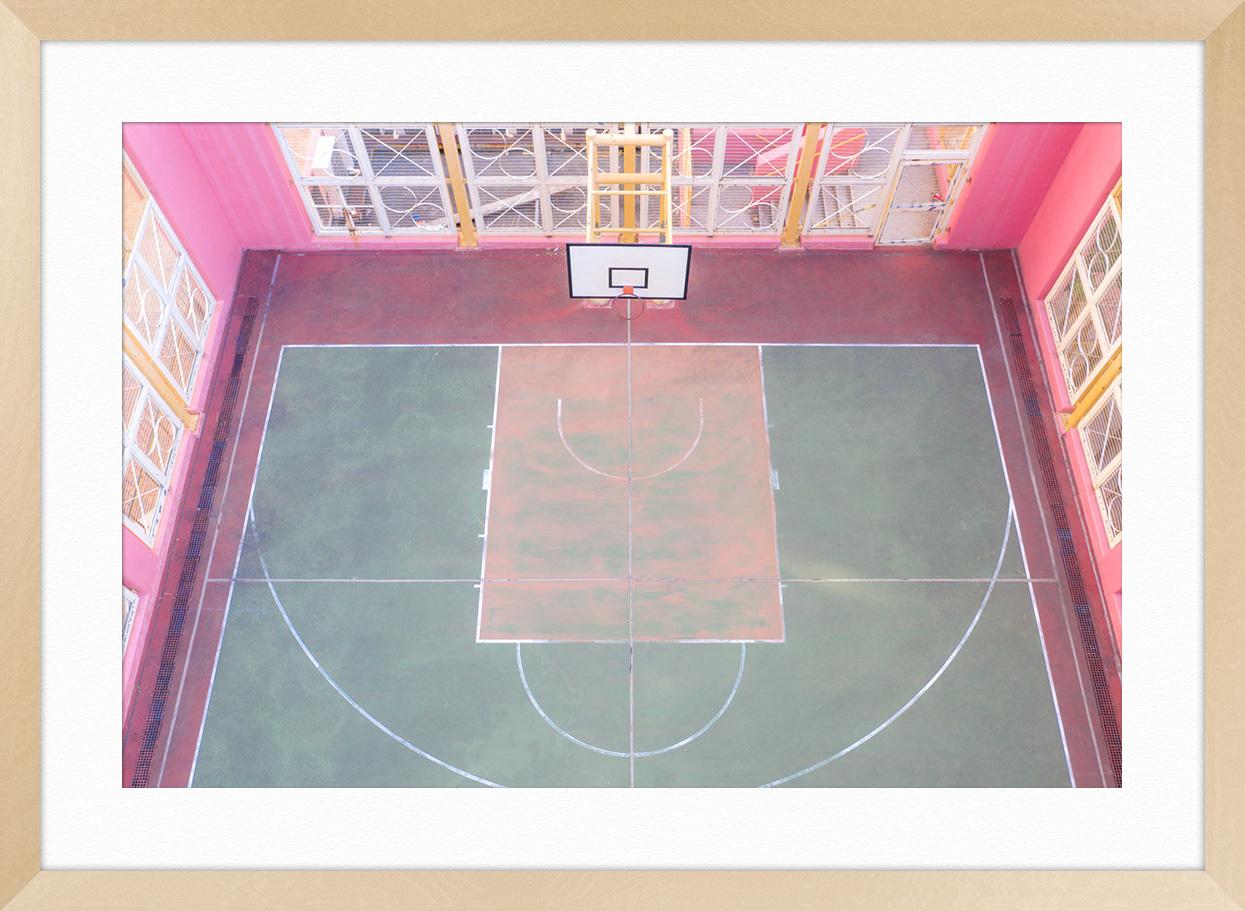 The Pink Court 2