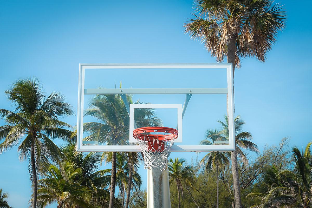 Austin Bell Color Photograph - Palm Hoops