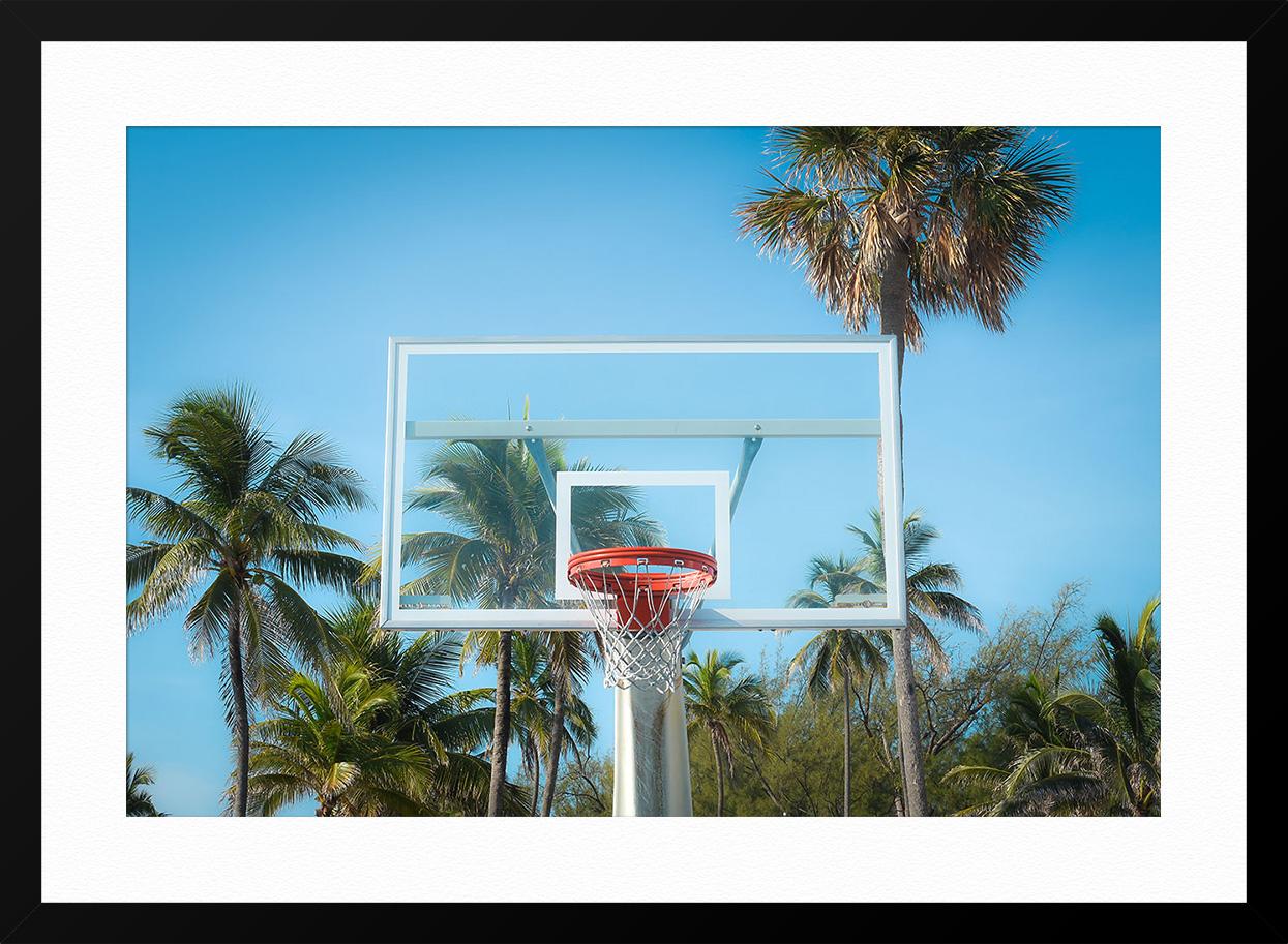 Palm Hoops 2