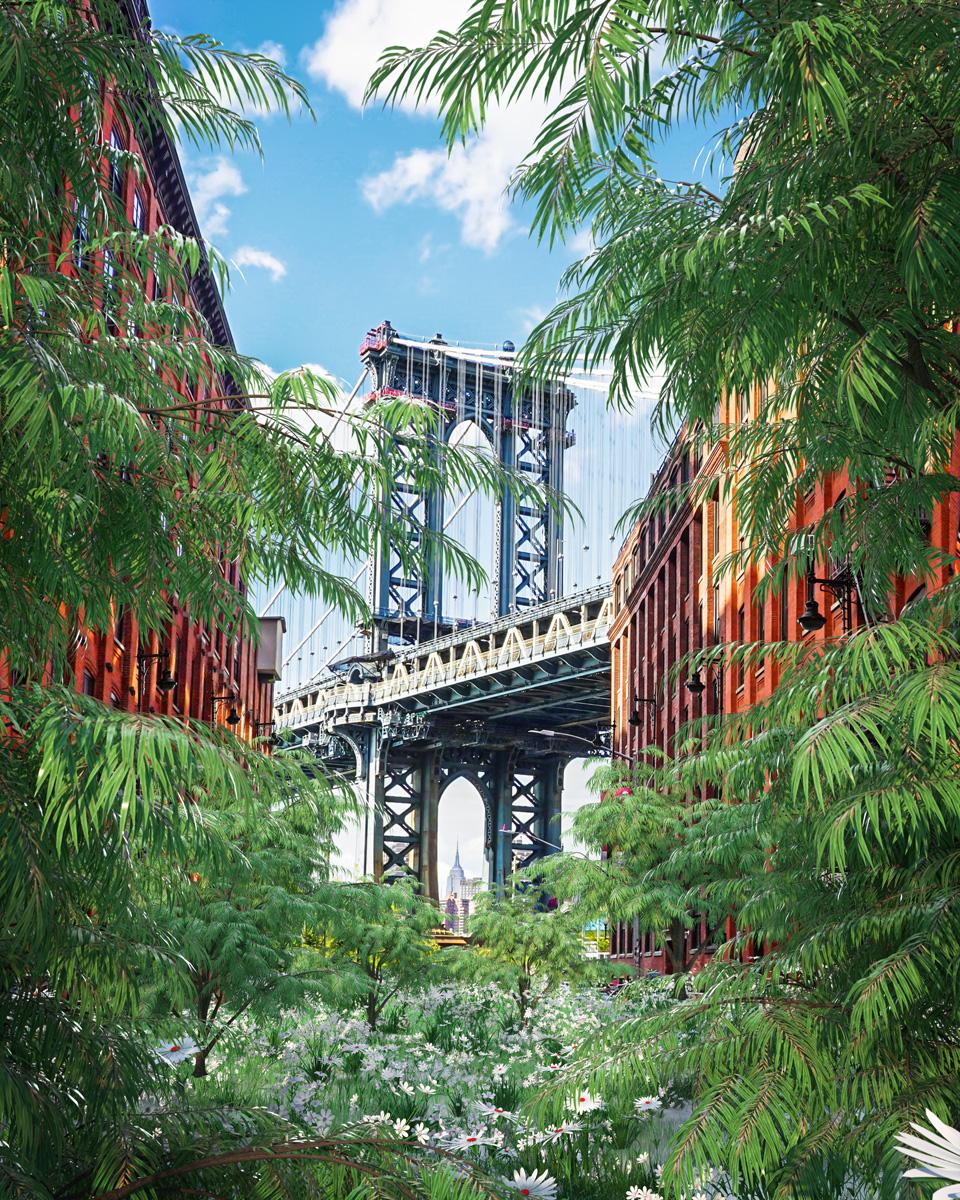 Timo Helgert Landscape Photograph – Die Rückkehr der Natur, New York