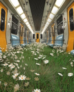 Le retour du train de la Nature