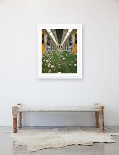 The Return of Nature Train