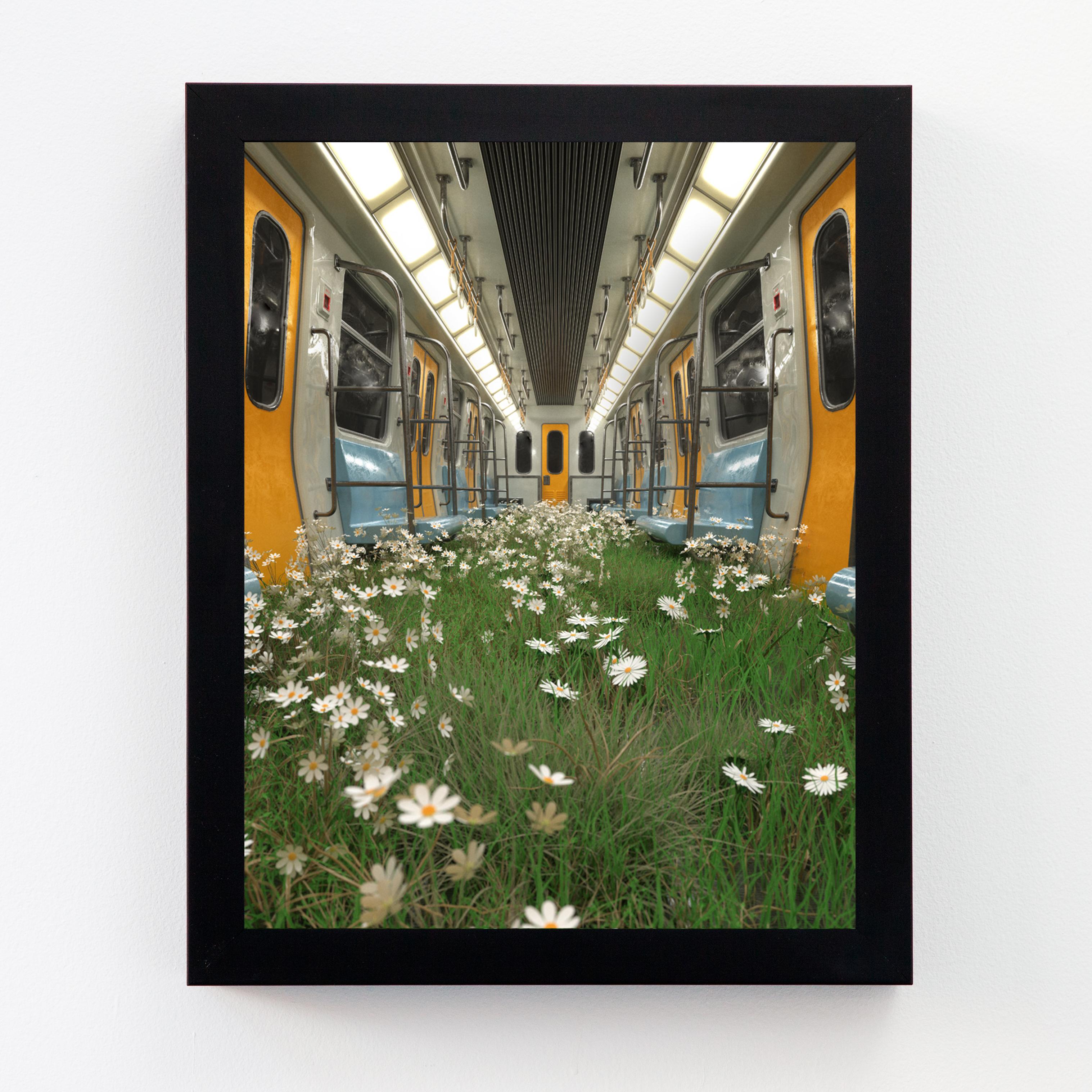 The Return of Nature Train im Angebot 2