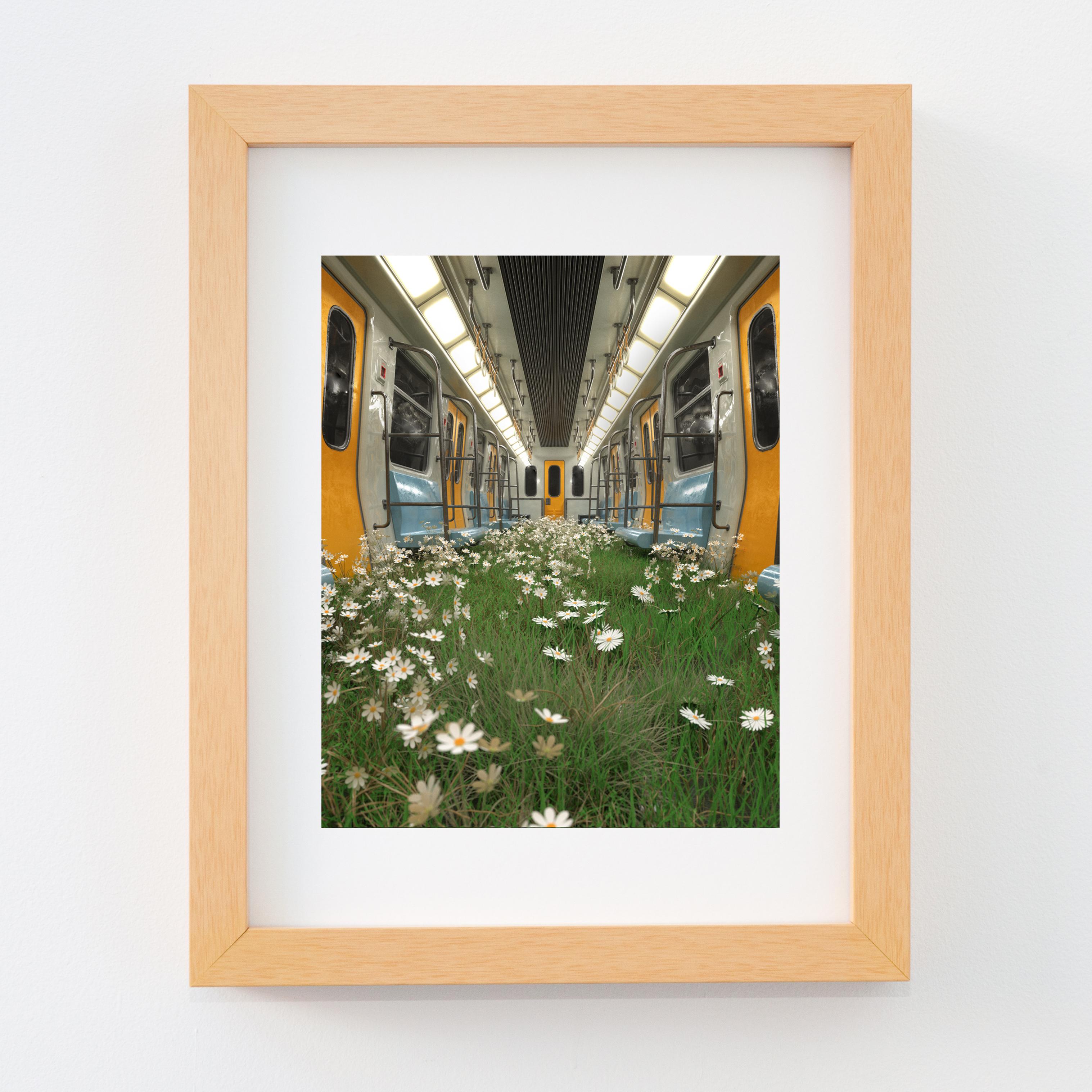 The Return of Nature Train im Angebot 3