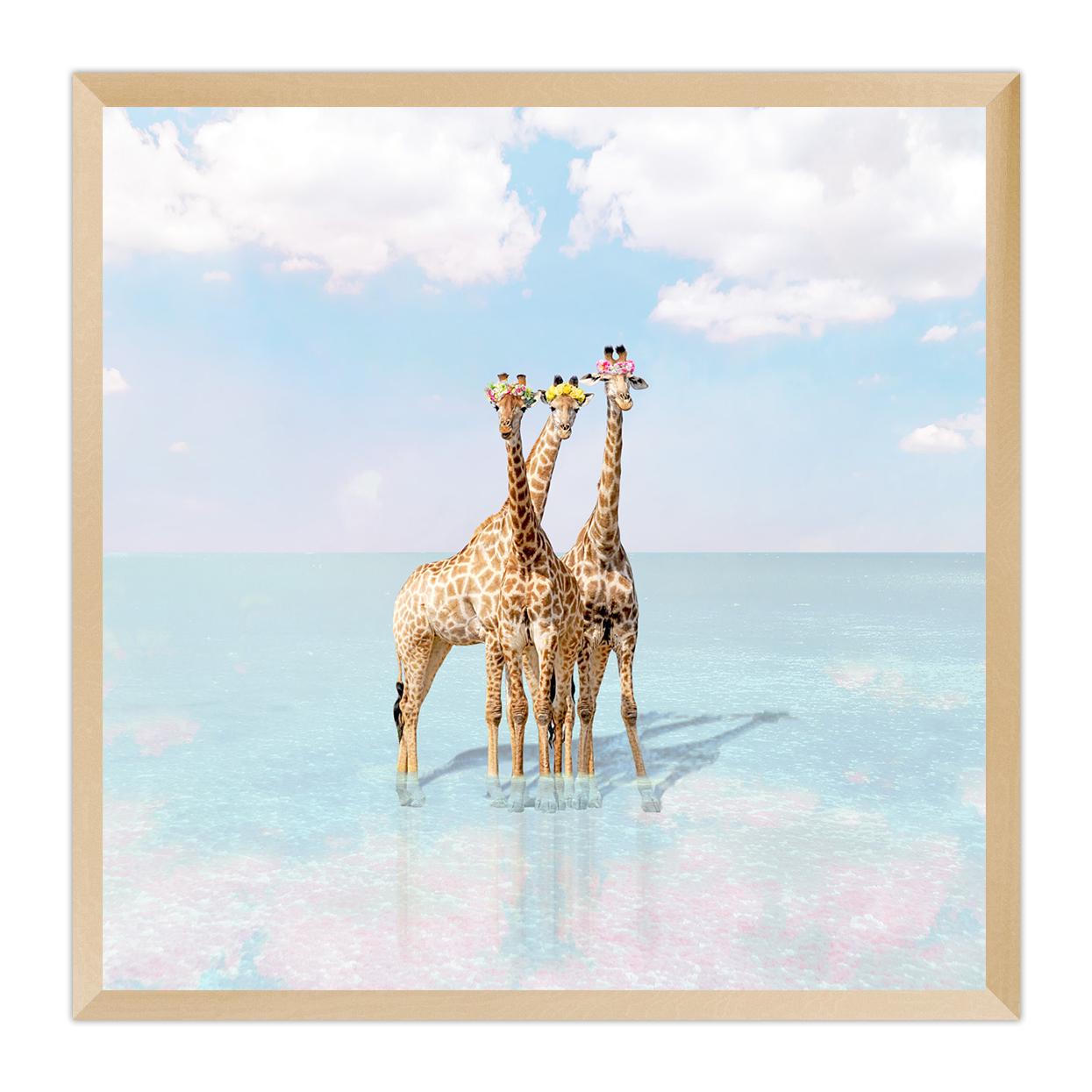 Giraffe Bay For Sale 1