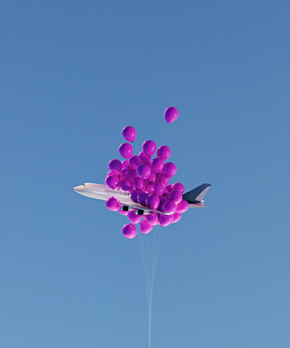 Saint Vines Still-Life Photograph - Balloon Flight 2