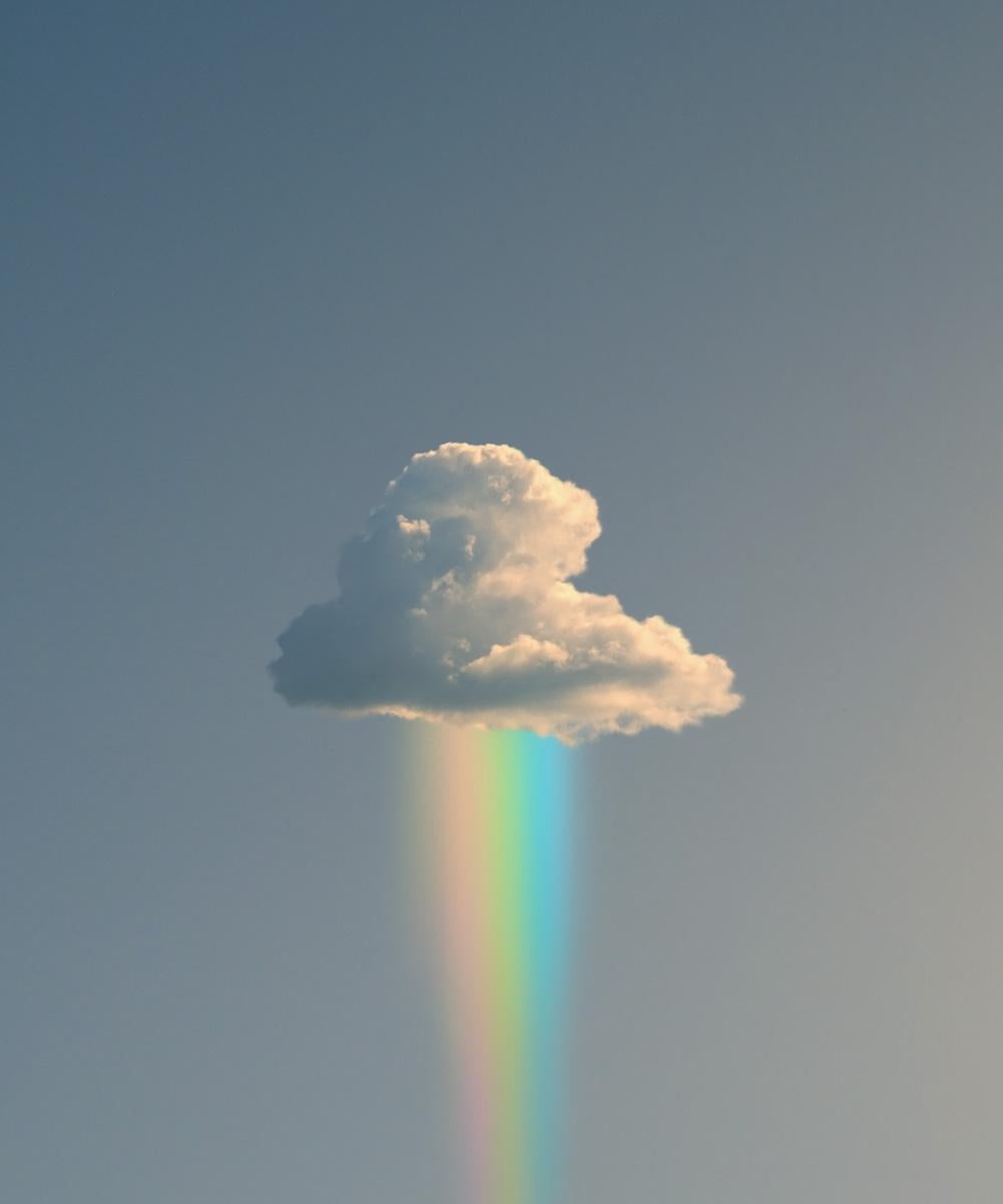 Saint Vines Still-Life Photograph - Rainbow Rain