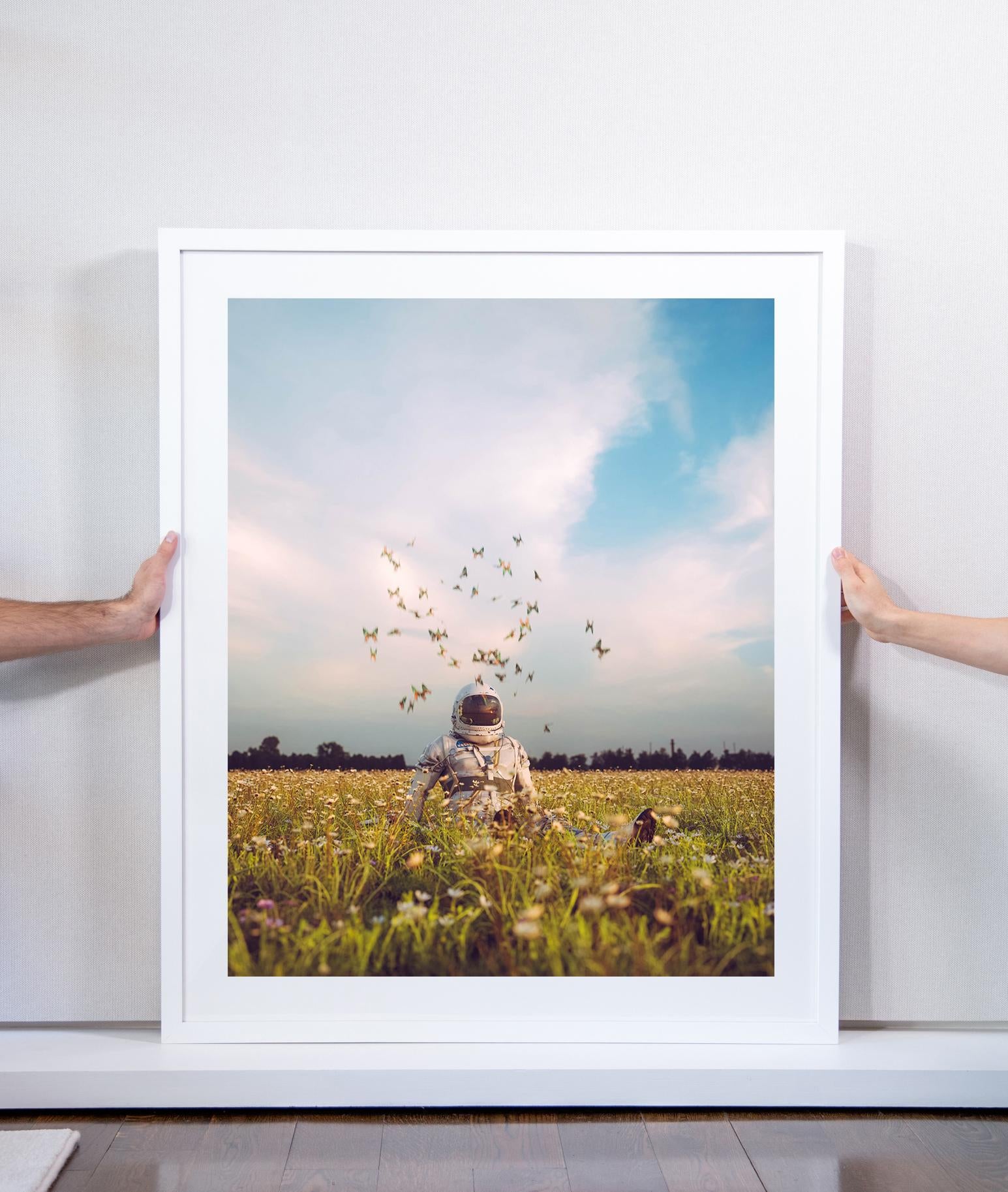 Farfalle Astro - Photograph di Cameron Burns