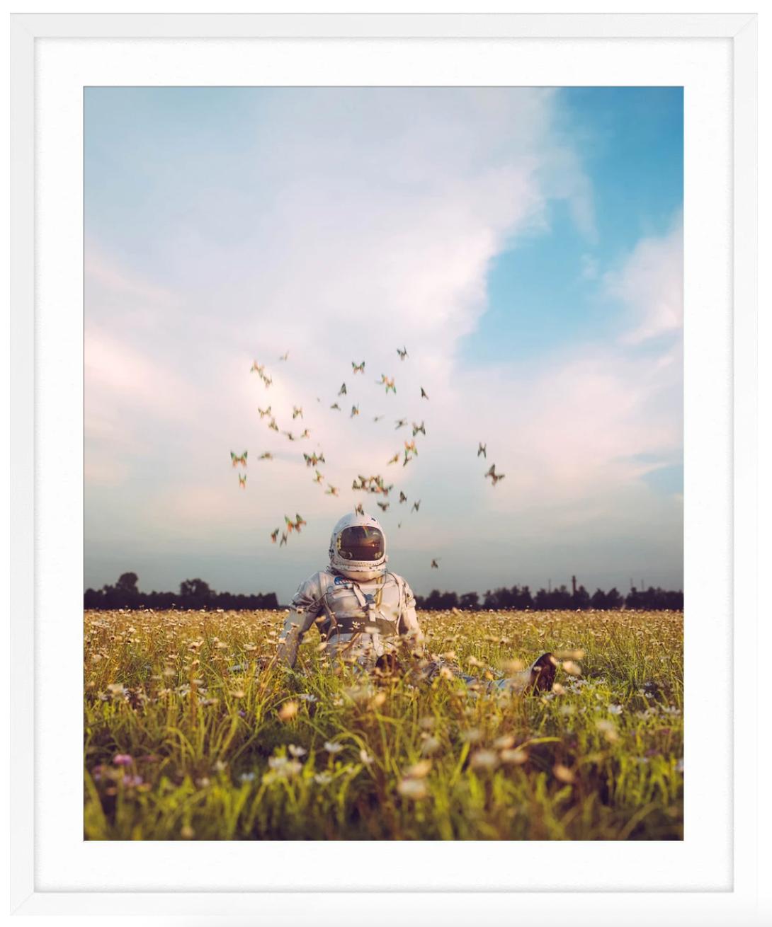 Farfalle Astro - Color Photograph Grigio di Cameron Burns